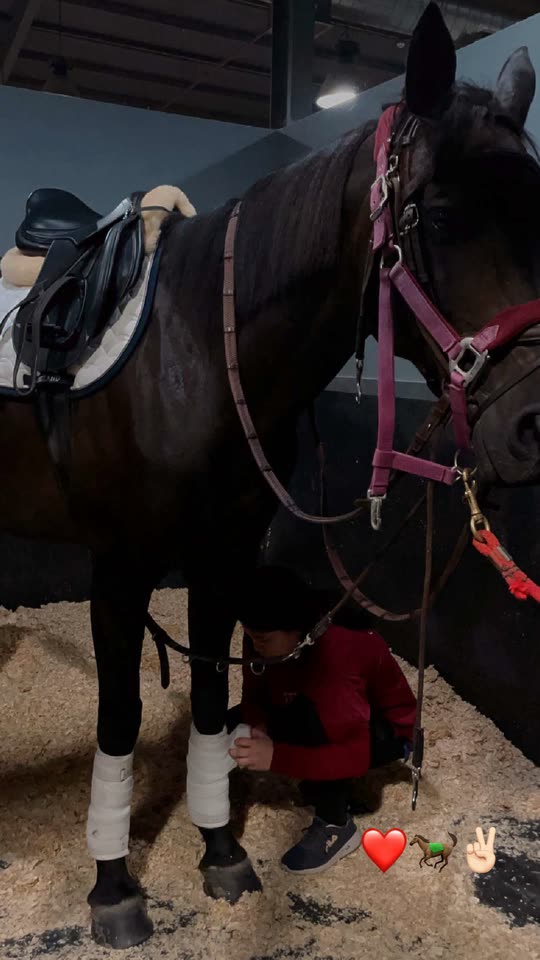 lailafarabi3