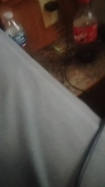 Cody Main
