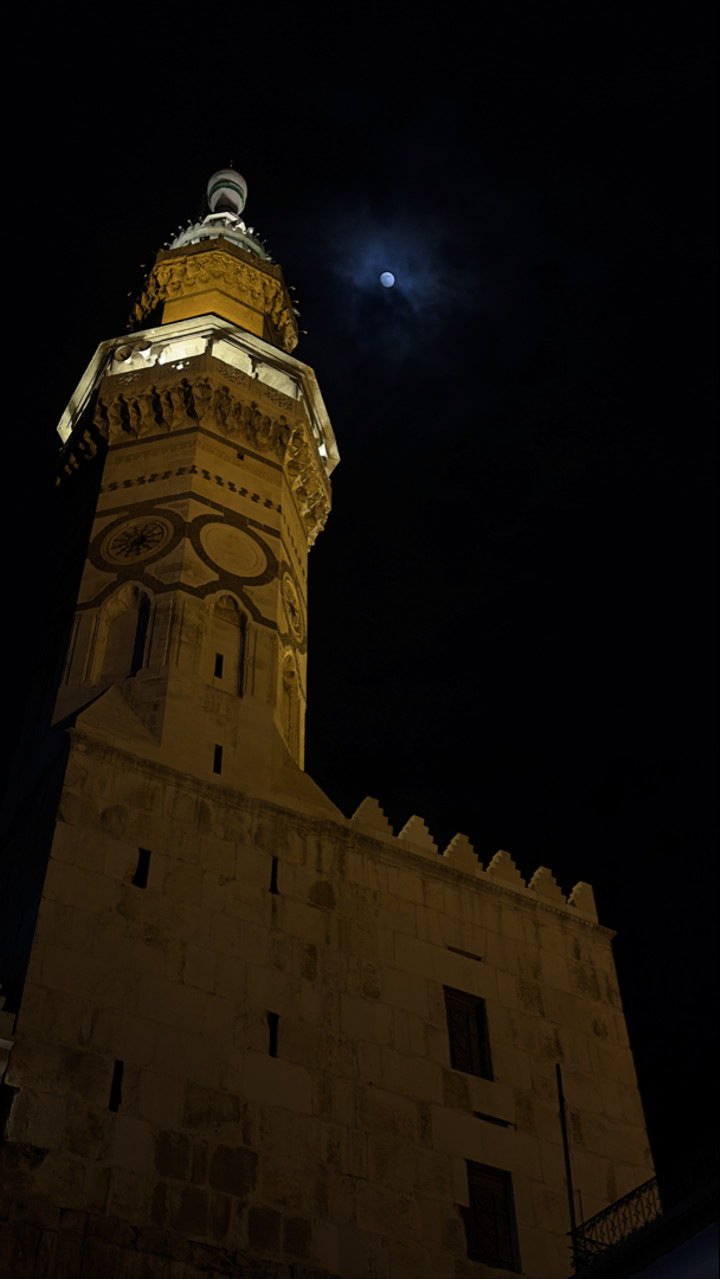 محتوى سناب شات لـ Z95zed