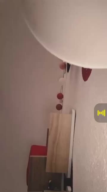 Preview for a Spotlight video that uses the little teddy bear Lens