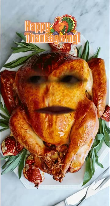 Preview for a Spotlight video that uses the Thanksgiving Lens