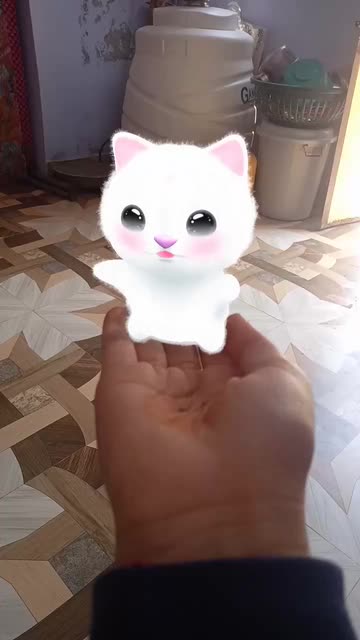 Preview for a Spotlight video that uses the Dancing Cat  Lens
