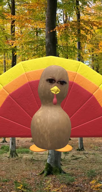 Preview for a Spotlight video that uses the Terrific Turkey Lens