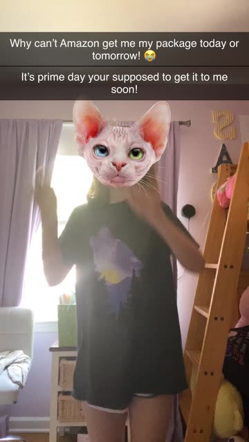 Preview for a Spotlight video that uses the Sphinx Cat Lens