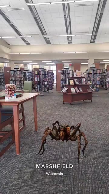 Preview for a Spotlight video that uses the Just a Spider Lens