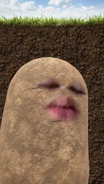 Preview for a Spotlight video that uses the Hotdog face Lens