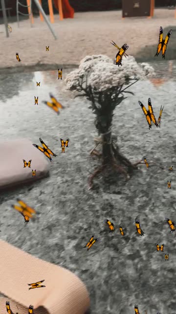 Preview for a Spotlight video that uses the Summer Butterflies Lens