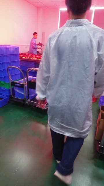 xiaoyu ma