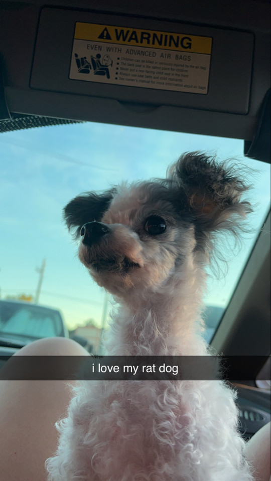 ecaitlyn19