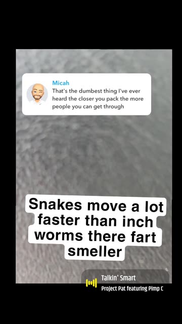 @therealbunches