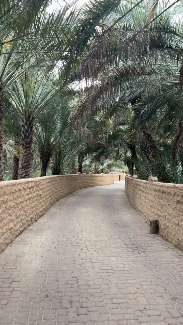 محتوى سناب شات لـ 𝕄𝕆ℍ𝔸𝕄𝕄𝔼𝔻 🇦🇪