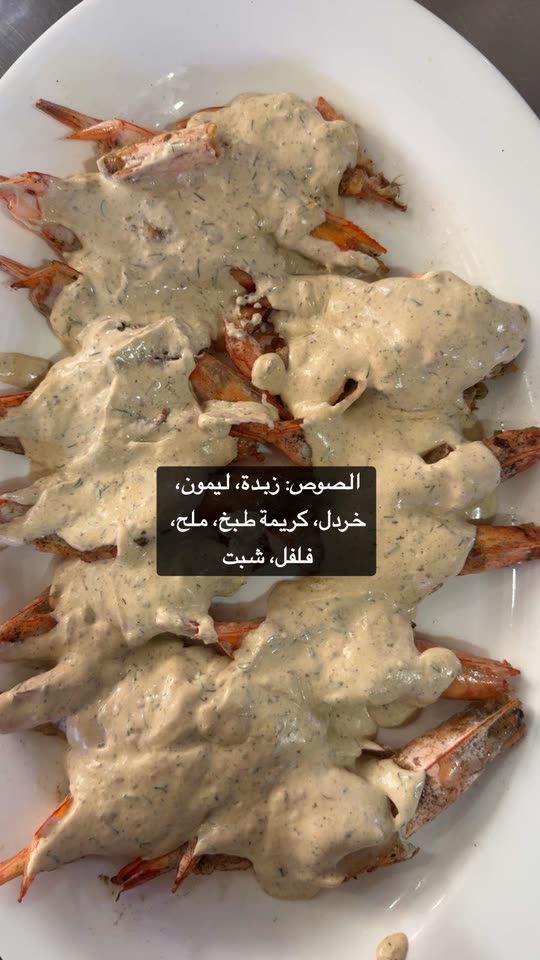 توما النعيمي Spotlight #fapchati8