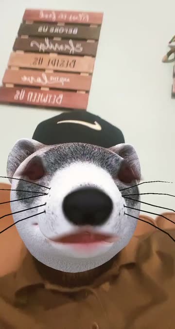 Preview for a Spotlight video that uses the Weasel Lens