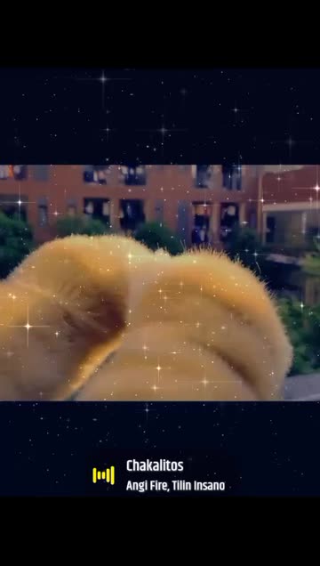 Preview for a Spotlight video that uses the Dust and Stars Lens