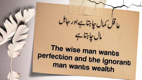 d_duaashahzadi