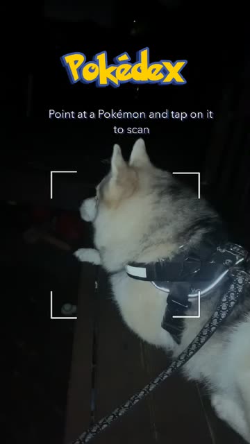 Preview for a Spotlight video that uses the Pokedex Kanto Lens