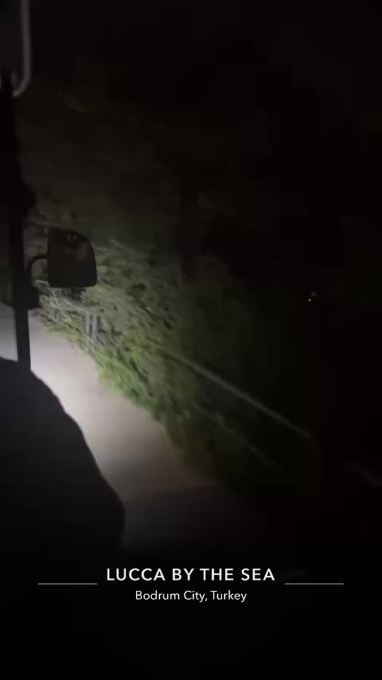 ekinkurfal