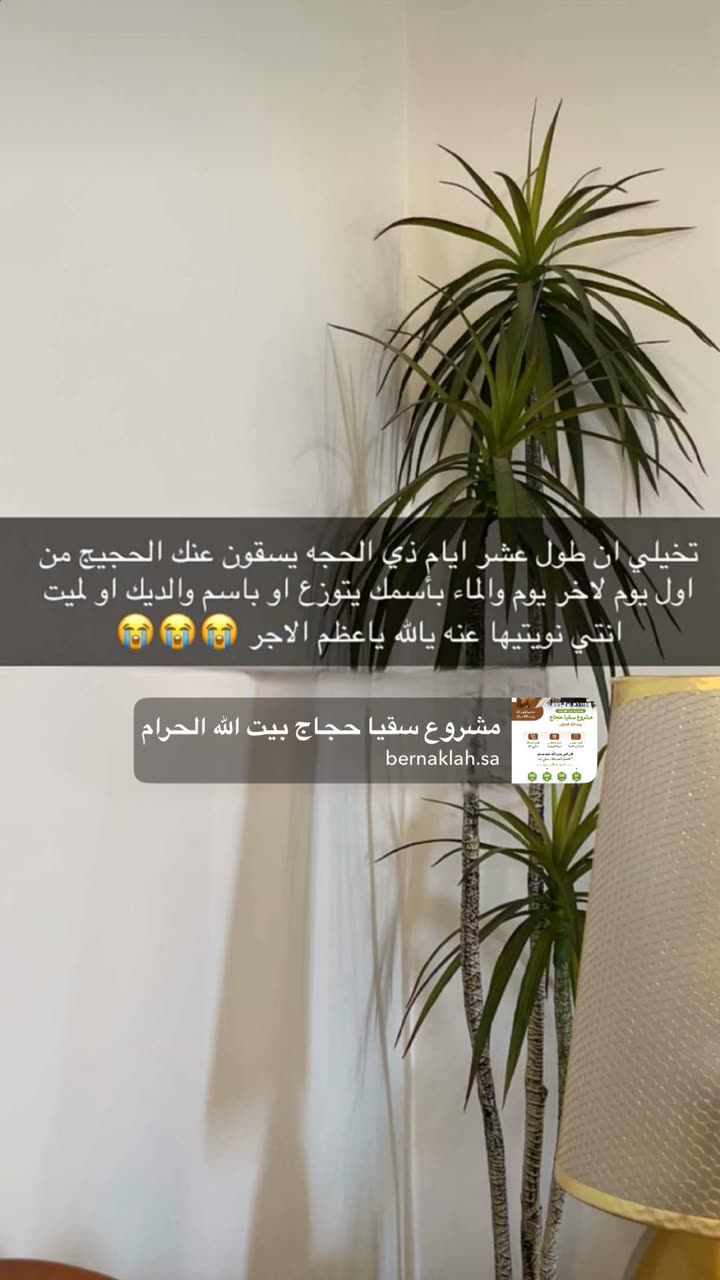 محتوى سناب شات لـ منى معافا✨