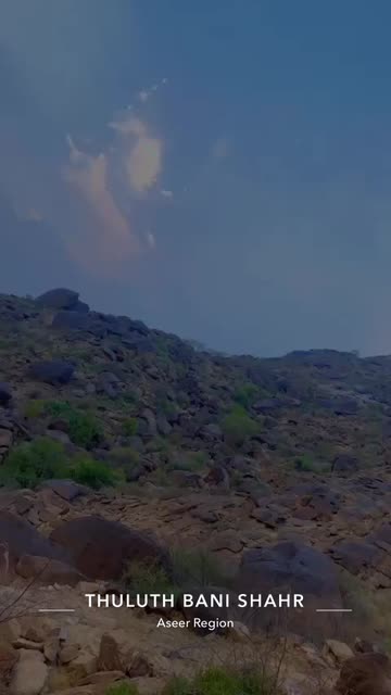 Preview for a Spotlight video that uses the Nature Lens