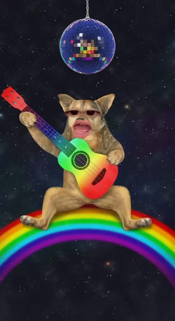 Preview for a Spotlight video that uses the Rainbow Dog Lens