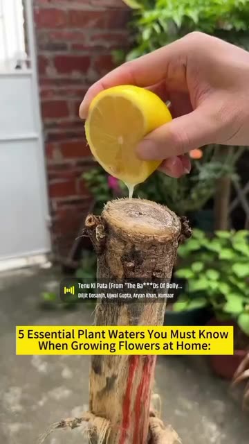 Agriclutch45