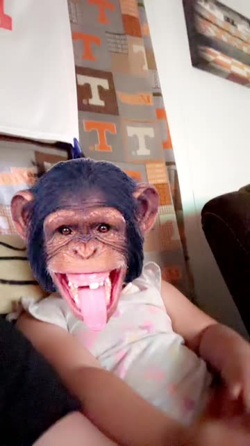 Preview for a Spotlight video that uses the Monkey Face Lens