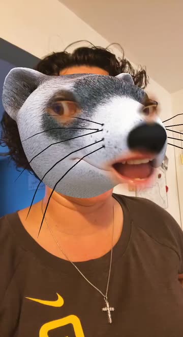 Preview for a Spotlight video that uses the Weasel Lens