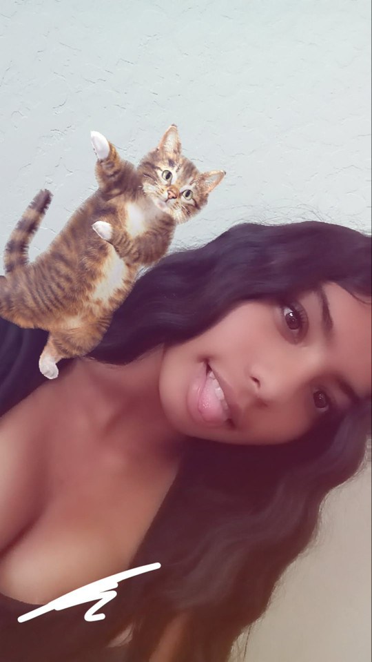 llj.asleen