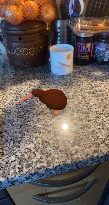 Preview for a Spotlight video that uses the Kiwi Bird Lens