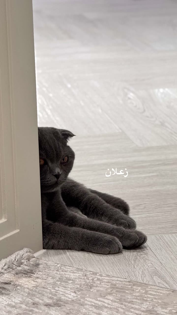 محتوى سناب شات لـ عفرا السويدي 🦋