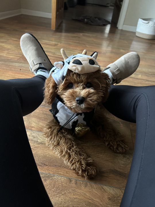 maddie-maries