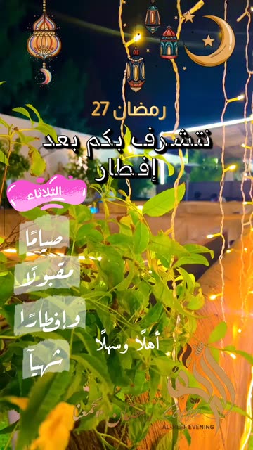 Preview for a Spotlight video that uses the ALREEF EVENING Lens