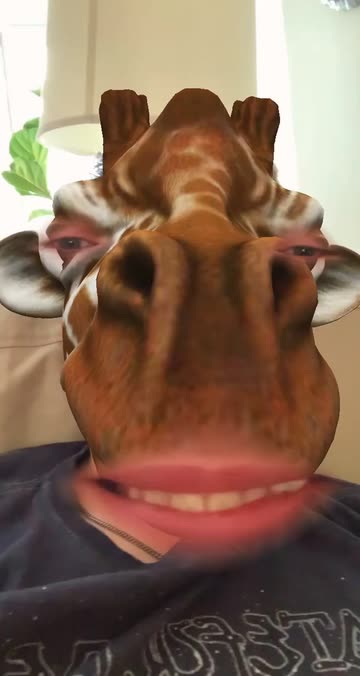 Preview for a Spotlight video that uses the Giraffe Lens