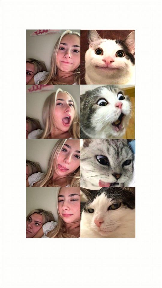 emilybowes6