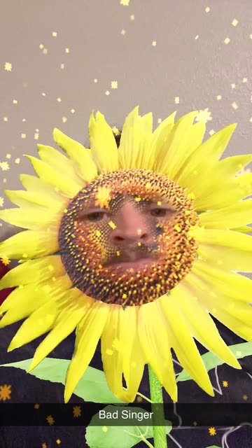 Preview for a Spotlight video that uses the SUNFLOWER ME Lens