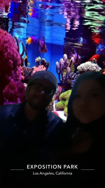 Preview for a Spotlight video that uses the Aquarium Lens