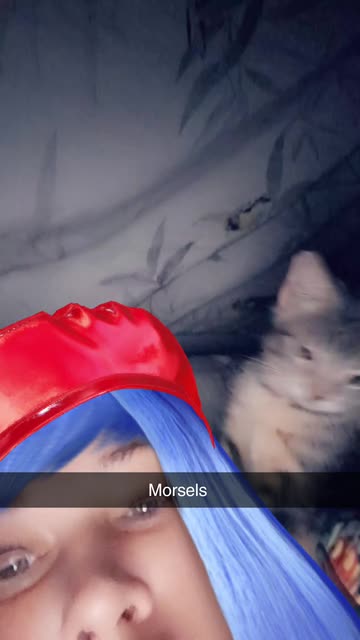 Preview for a Spotlight video that uses the Blue Hair Red Beret Lens