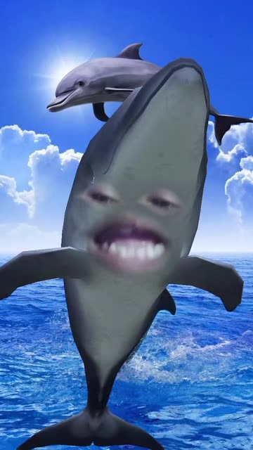 Preview for a Spotlight video that uses the Swimming Dolphin Lens