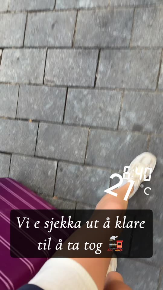 viciberg
