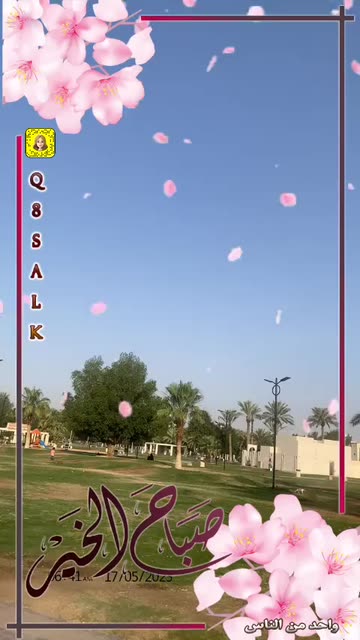 Preview for a Spotlight video that uses the good morning 1 Lens