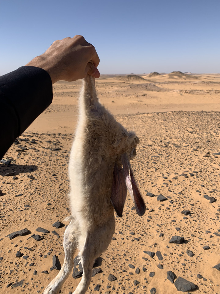 محتوى سناب شات لـ حمزه النواصره