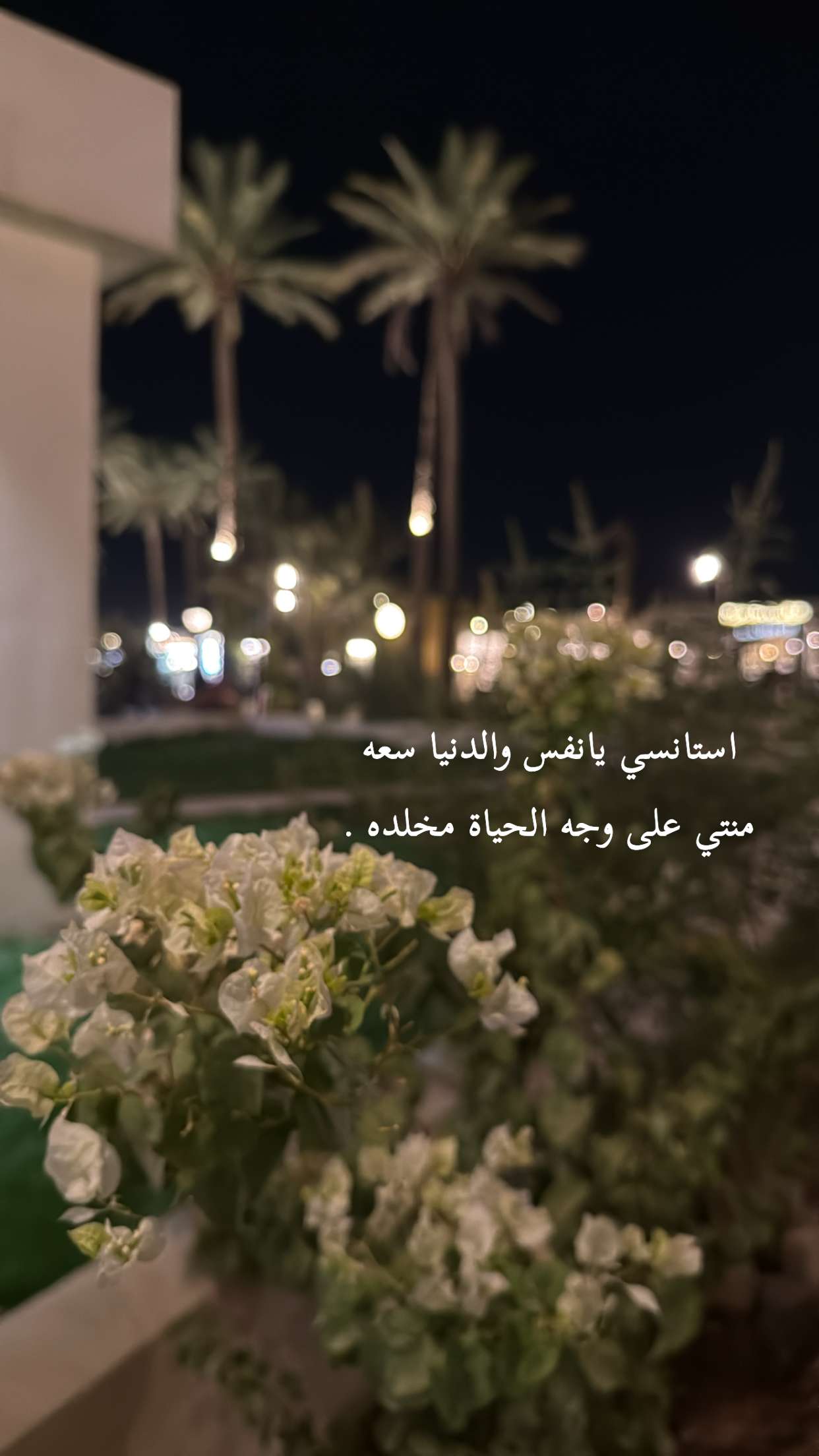 محتوى سناب شات لـ Noura