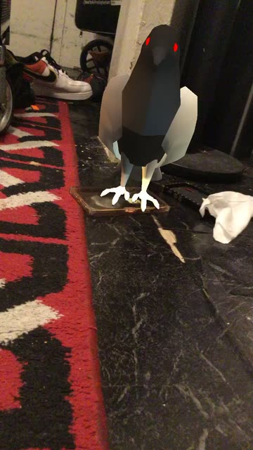Preview for a Spotlight video that uses the Robot-Spy-Pigeon Lens