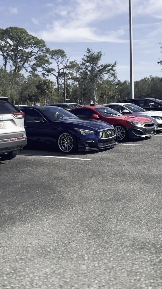 q50.steven
