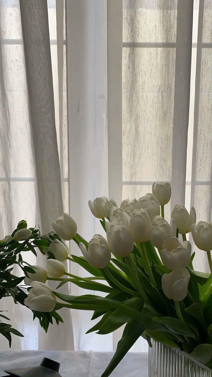 محتوى سناب شات لـ Shmowkh 🍃🎼🐺