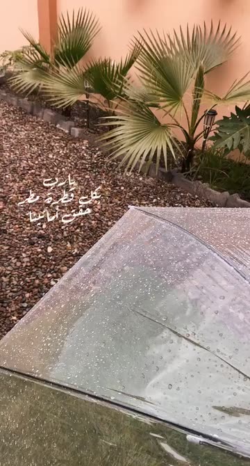 Preview for a Spotlight video that uses the phrases rain Lens
