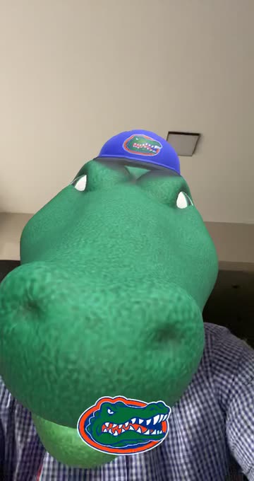 Preview for a Spotlight video that uses the Florida Gators Lens