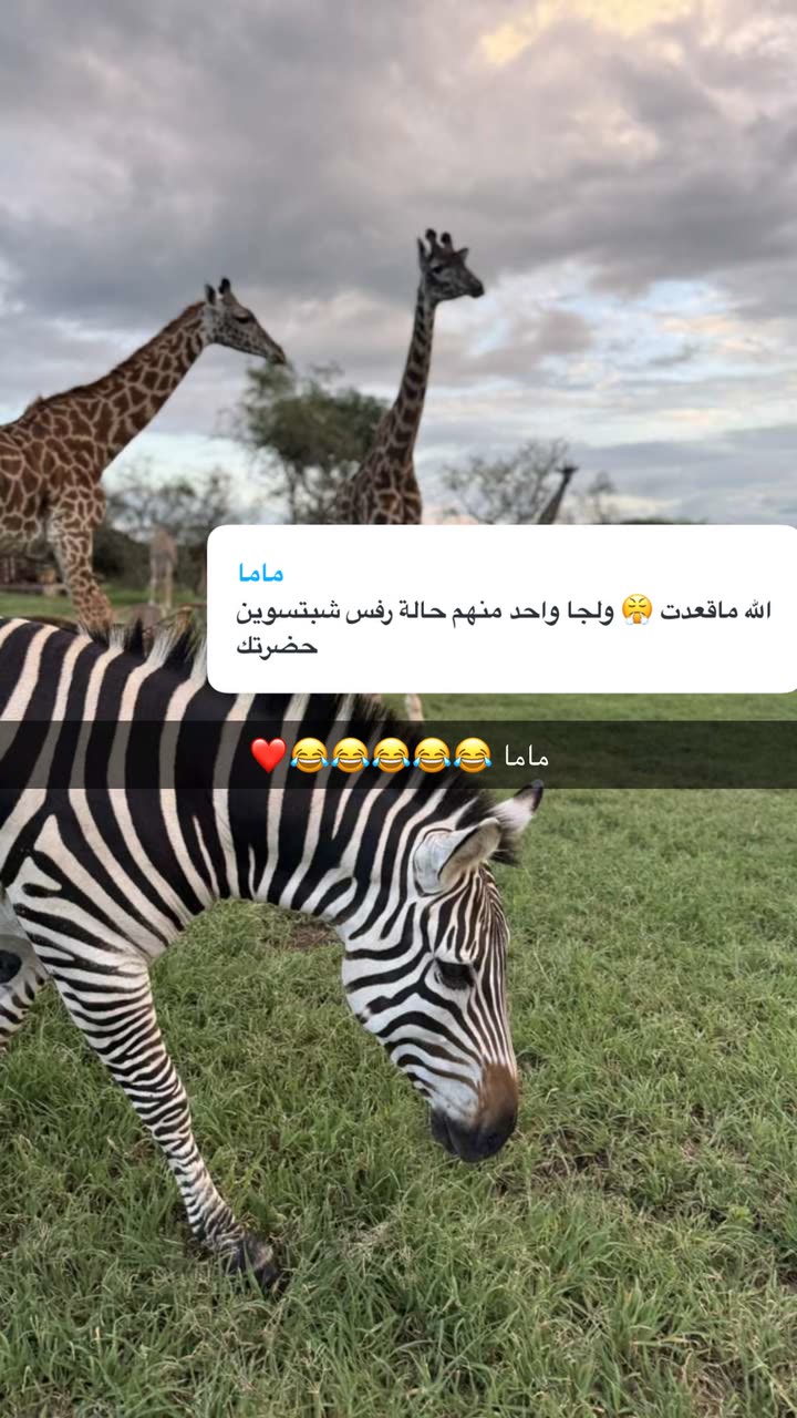 محتوى سناب شات لـ نجلا الودعاني 🧠