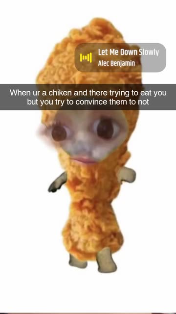 Preview for a Spotlight video that uses the chicken kitten Lens