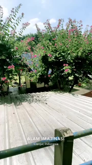 Preview for a Spotlight video that uses the Disposable From IG Lens